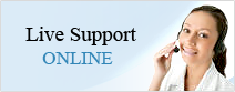 support online